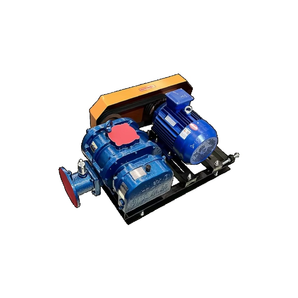 Hoogvermogen Roots Blower voor - Ac Power Supply recensie en prijs